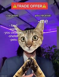 Image result for Cat Trade Offer Meme