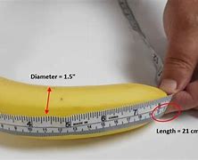 Image result for 8 Inch Banana