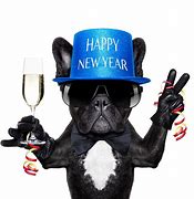 Image result for New Year's Pet Memes