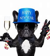 Image result for Happy New Year Cute Meme