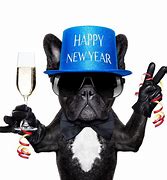 Image result for Happy New Year Eith Dogs