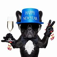 Image result for Dog New Year Meme