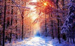 Image result for Winter Wallpaper 1600X900
