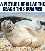 Image result for Laugh On Beach Meme