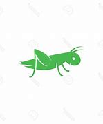 Image result for Cricket Bug Drawing