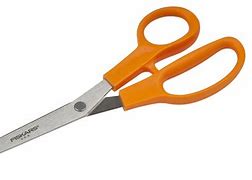 Image result for Fiskars RazorEdge Scissors