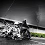 Image result for Rider Look Back Motorcycle