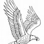 Image result for Eagle Head Pen Drawing