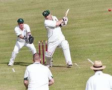 Image result for Worstershire Cricket Club