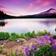 Image result for Colorful Landscape iPhone Wallpaper