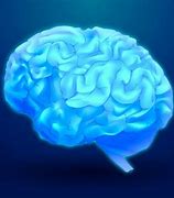 Image result for Blue Brain Images