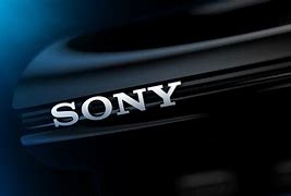 Image result for Sony 17 Logo