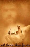 Image result for Lost a Pet Wallpaper