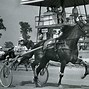 Image result for Harness Racing North Ireland