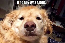 Image result for Exhausted Dog Meme