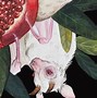Image result for Albino Fruit Bat Sketch