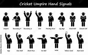 Image result for David Gilbert Cricket Umpire