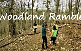 Image result for Reto Woodland Ramble