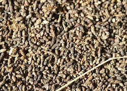 Image result for Bat Guano Crystals