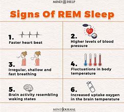 Image result for REM Sleep Stages