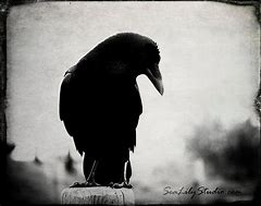 Image result for Gothic Raven