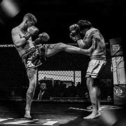 Image result for Muay Thai Styles