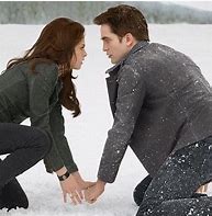 Image result for Twilight Breaking Dawn Part 2 Fight