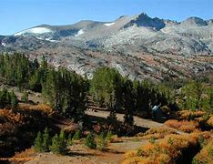 Image result for White Mountains Arizona Outline Map