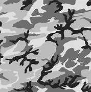 Image result for Grey and Gold Camo