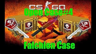 Image result for CS Falchion Case