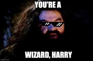 Image result for Harry Potter Wizard Meme