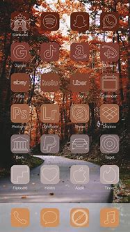 Image result for iPhone Screen Layouts for iPhone 5S