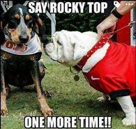 Image result for Dawg Football Meme