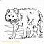 Image result for Realistic Animal Coloring Pages