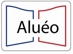Image result for alueo
