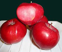 Image result for Pretty Pink Apple