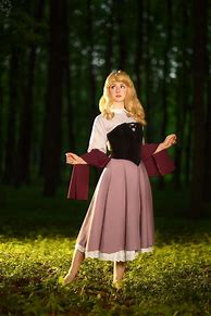 Image result for Disney Princess Halloween Costumes for Adults