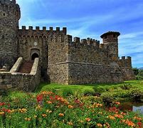 Image result for Castello di Amorosa Riesling Simpatica