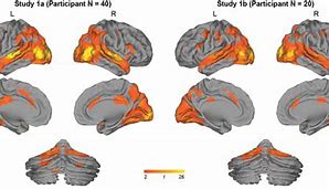 Image result for Brain Activity Watching TV Chart