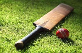 Image result for Cricket Images Download in Scartch Sprites