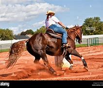 Image result for Dover Downs Horse Racing