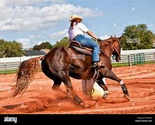 Image result for Horse racing