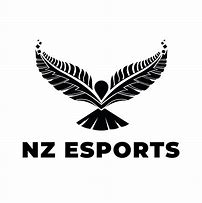 Image result for eSports Man