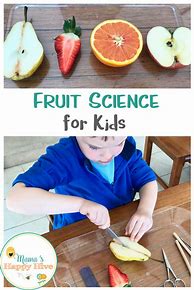 Image result for Preschool Science Fruit Activities