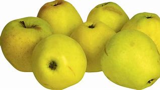Image result for Taut Apple's