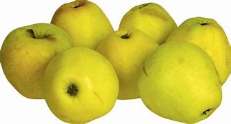 Image result for Apple iPhone 15 Yellow