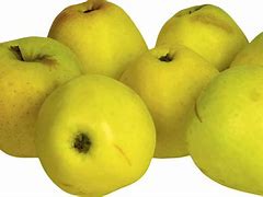 Image result for 6 Apples