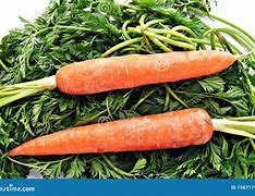 Image result for 2 Carrots