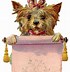 Image result for Antique Dog Engravings