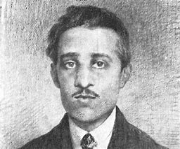 Image result for Garviliro Princip